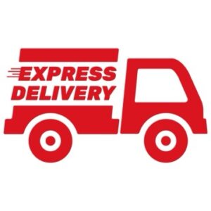 Delivery Payment